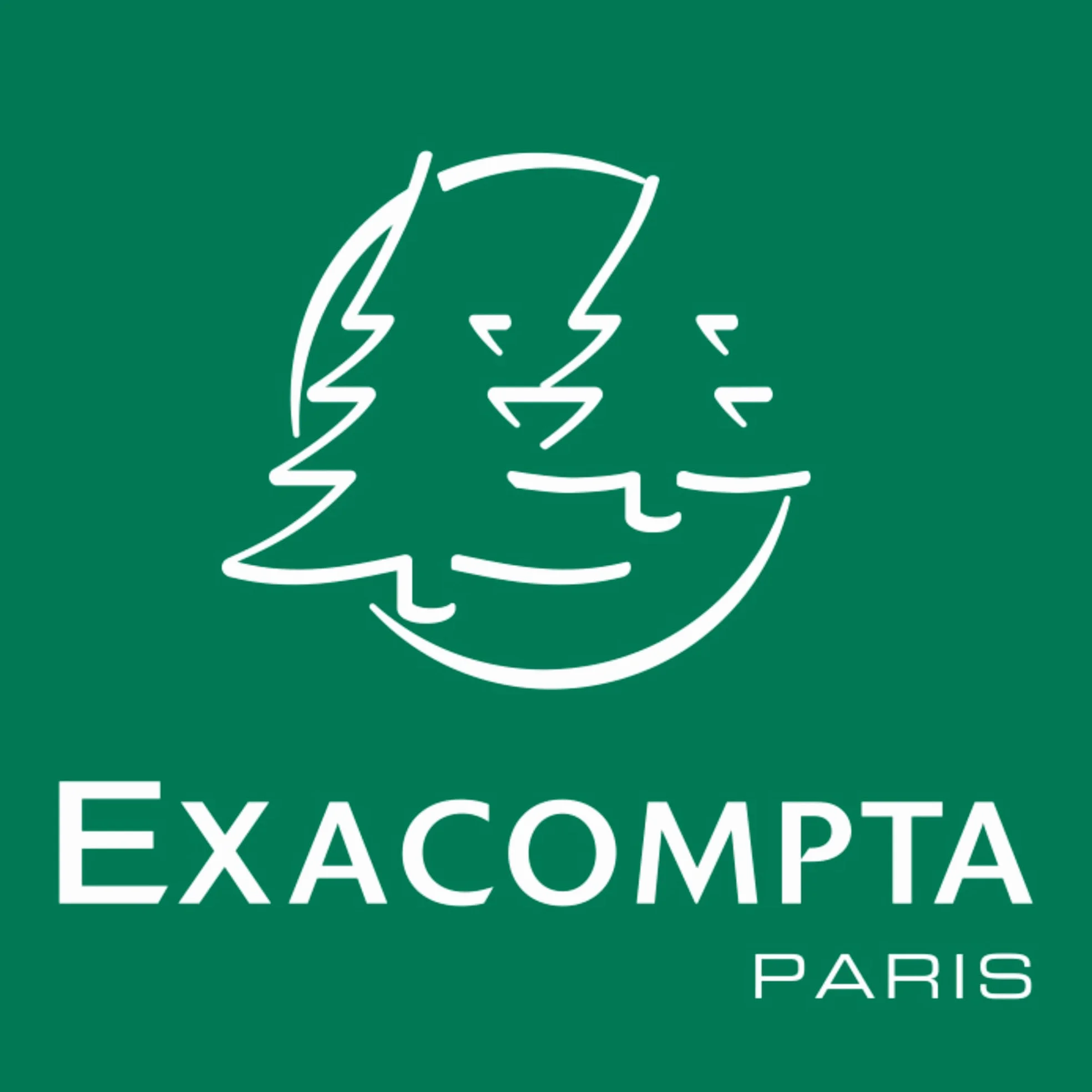 Exacompta - Réf. 62432E - 1000 feuilles de listing blanc autocopiant 240mm x 12-2 plis papier 80g - Bandes Caroll détachables - Microperforation 4 côtés - Couleur blanc