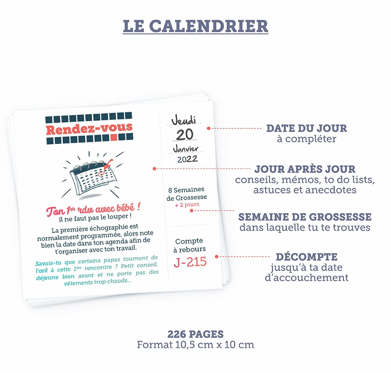Calendrier de Grossesse Futur Papa