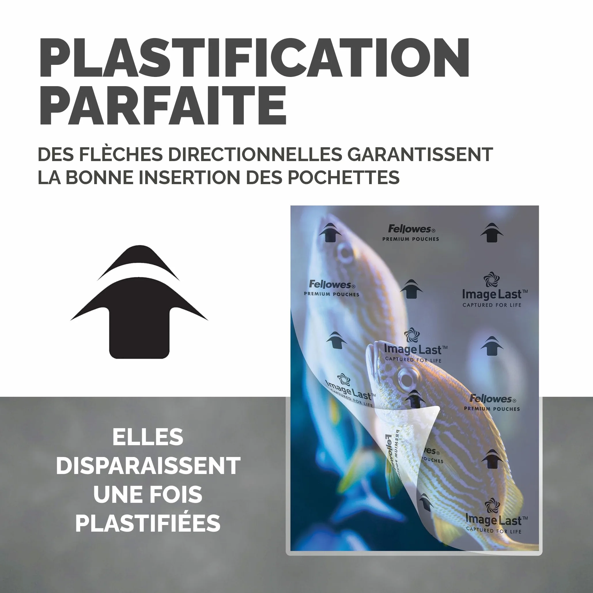 Fellowes Pochette Plastification 80 Microns A3 Pack 100 Feuilles Finition Brillante